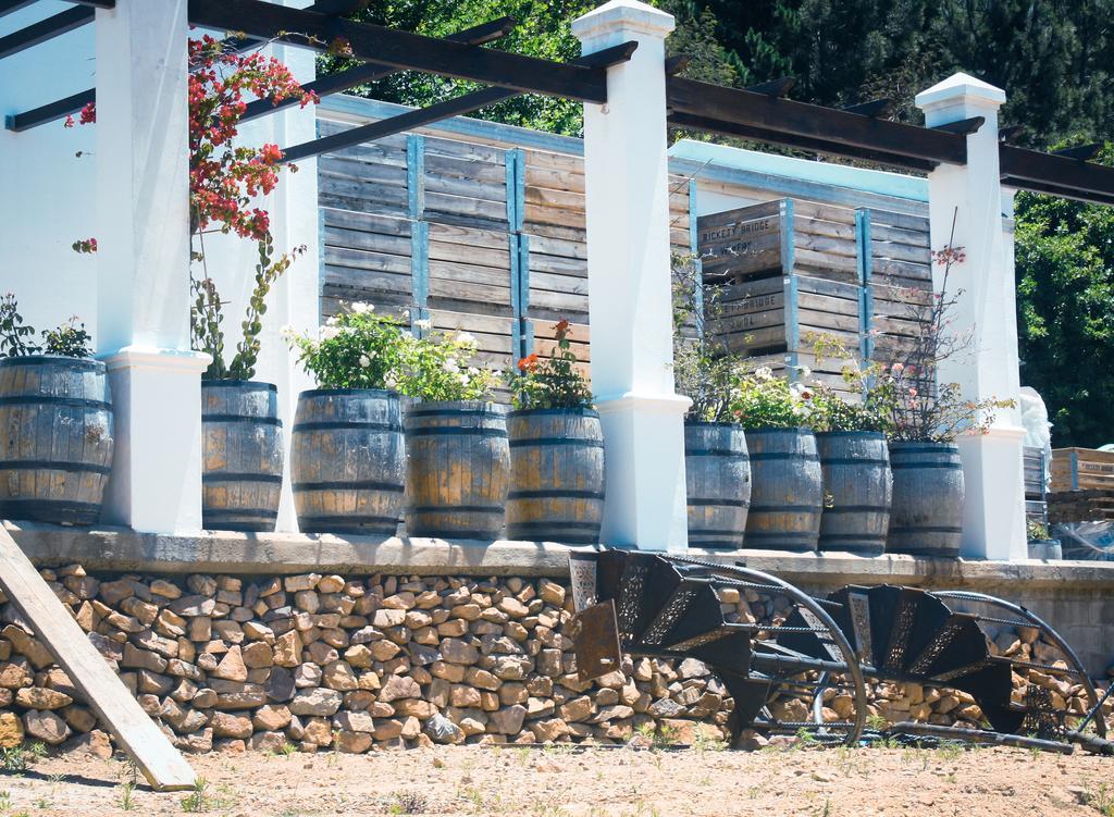 Rickety Bridge Manor House Guest House Franschhoek Bagian luar foto