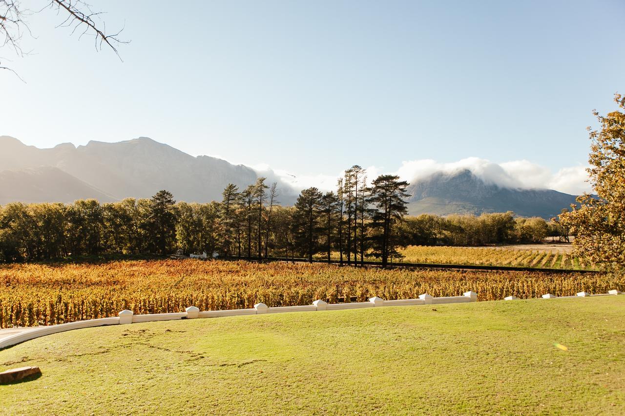 Rickety Bridge Manor House Guest House Franschhoek Bagian luar foto